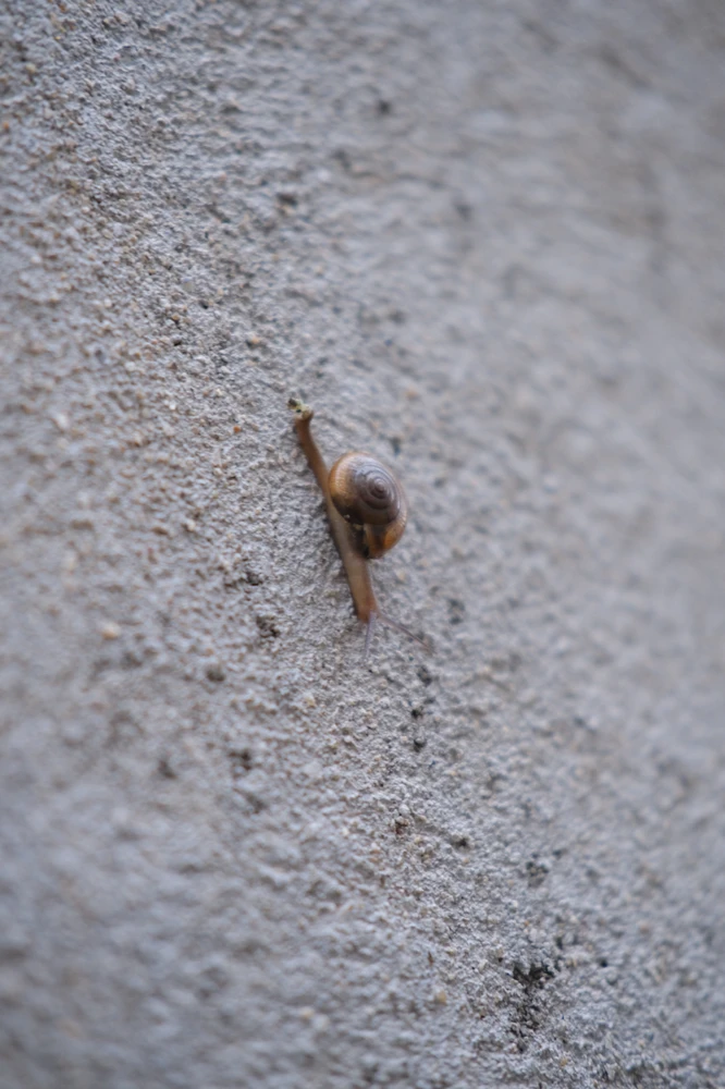 Image uploaded by Alo