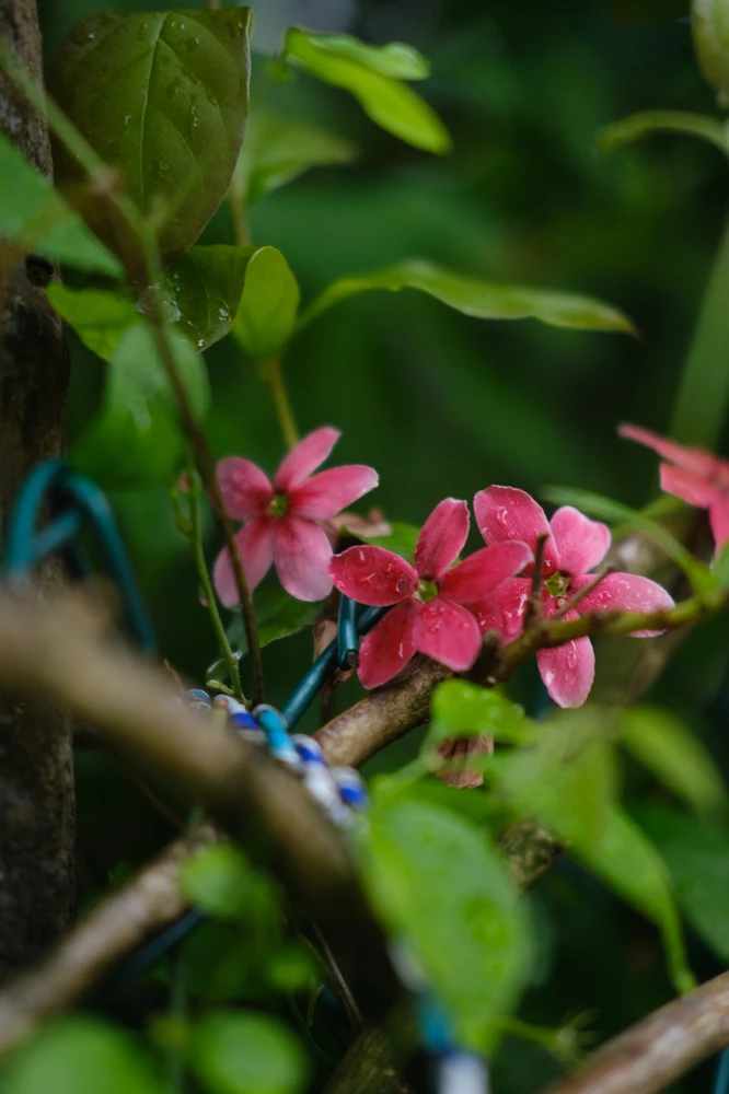 Image uploaded by Alo