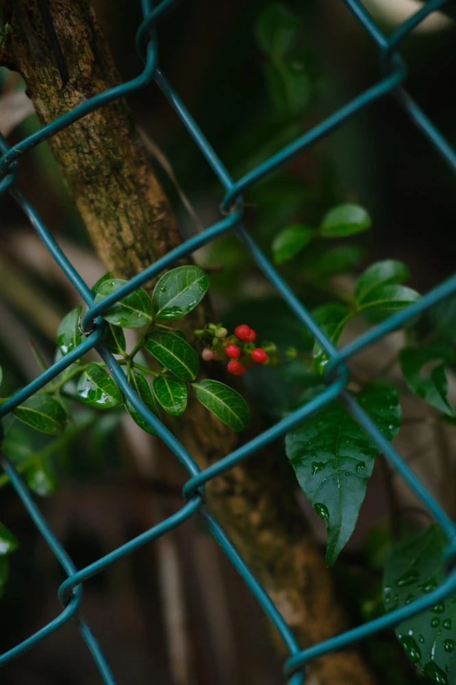 Image uploaded by Alo