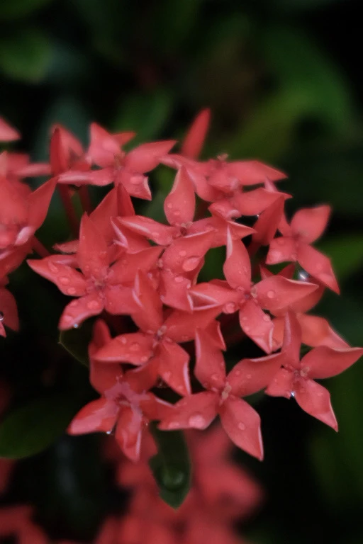 Image uploaded by Alo