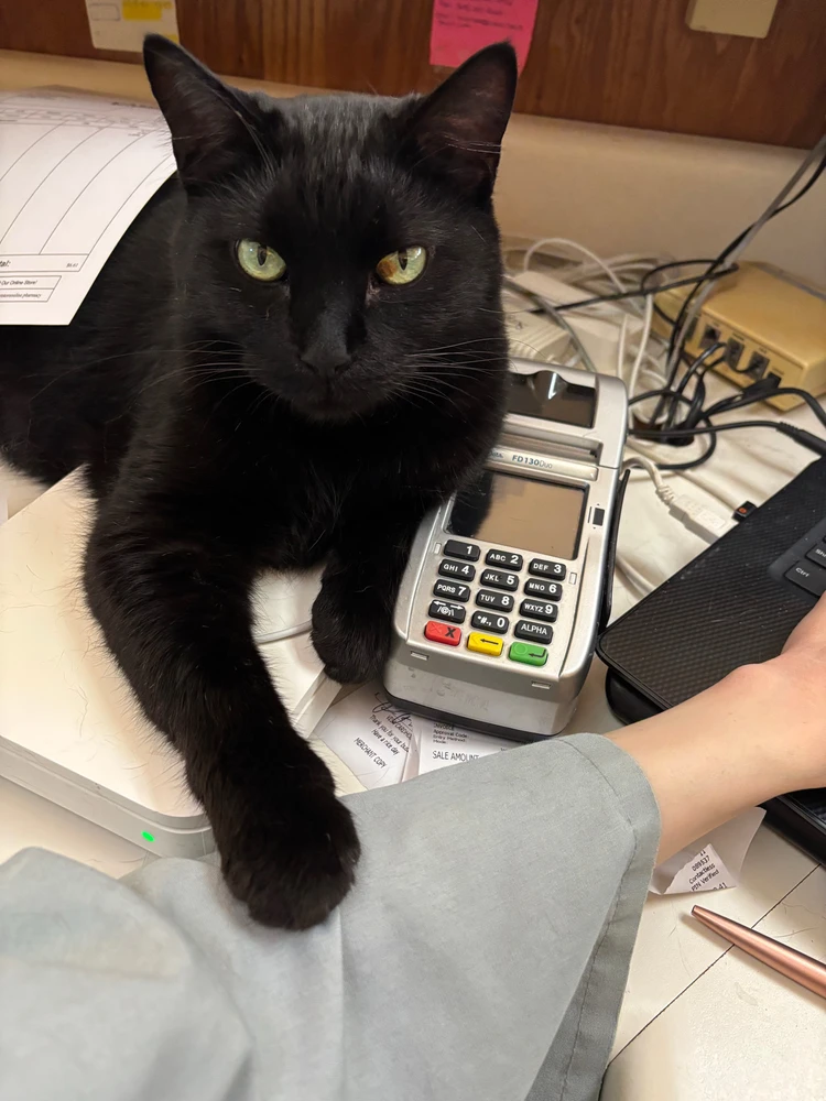 GIF uploaded by Sarah