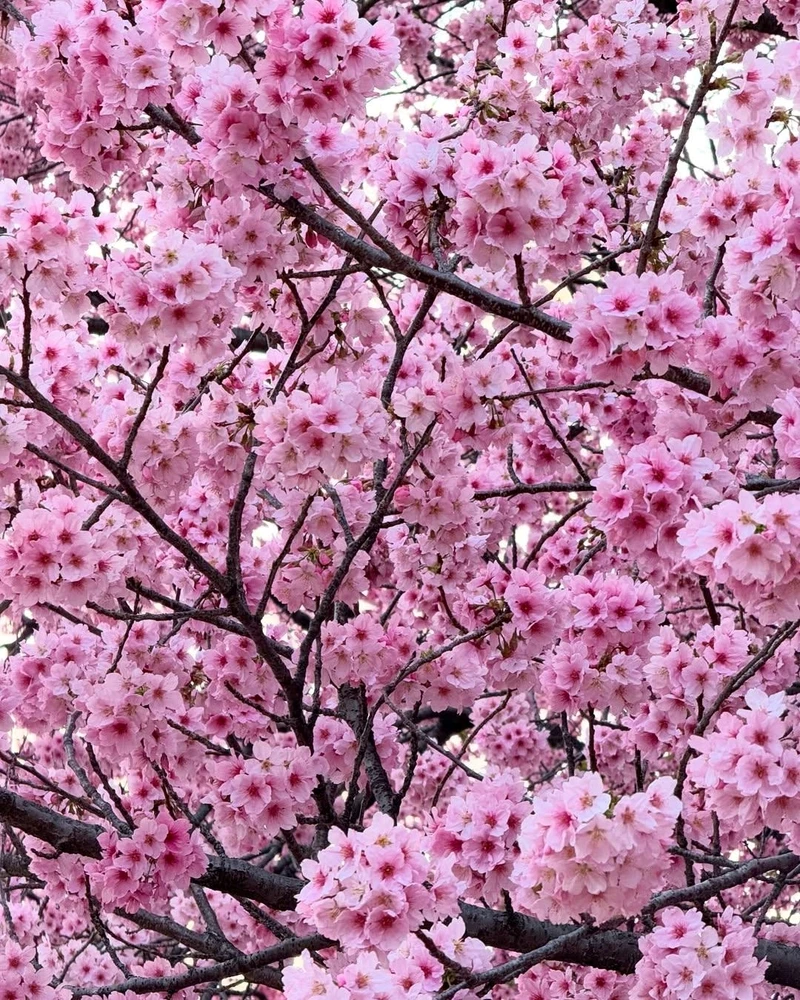 Image uploaded by Tina