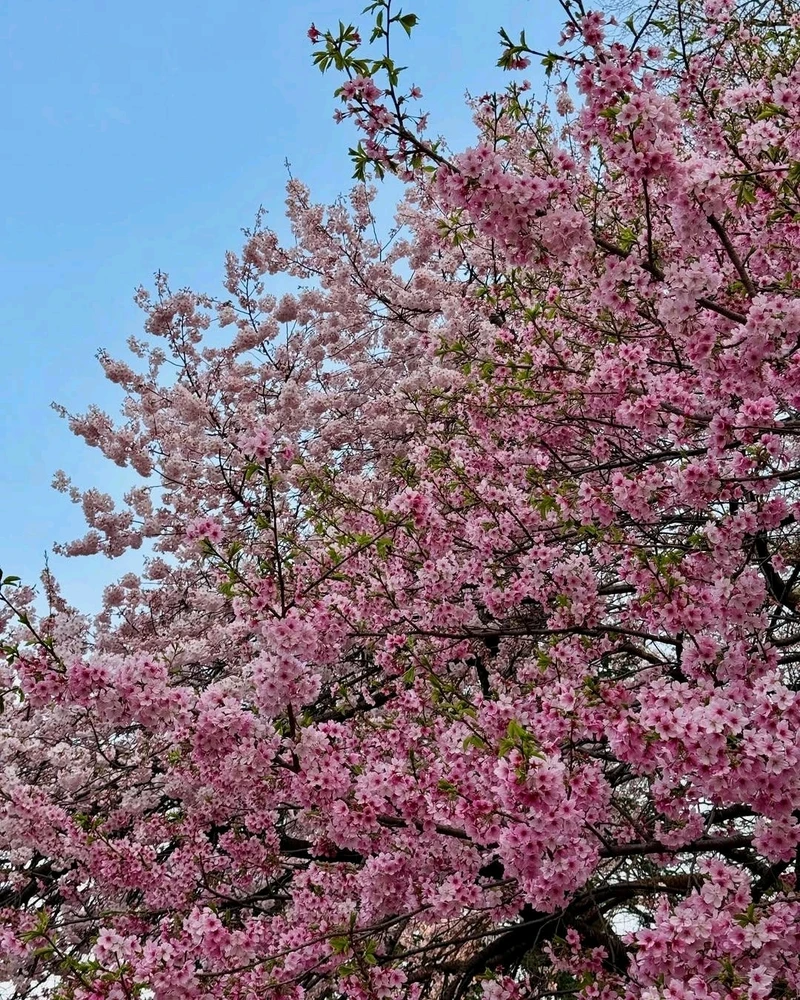 Image uploaded by Tina