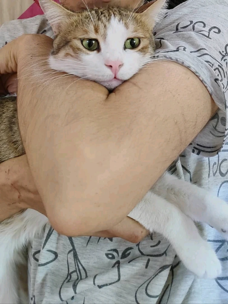 تصویر آپلود شده توسط حامد