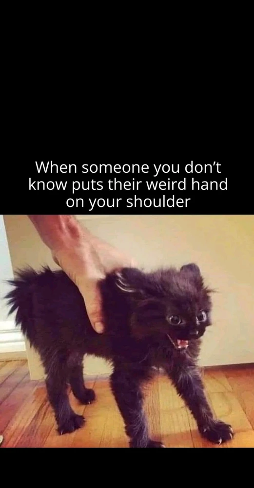 GIF uploaded by Dominic