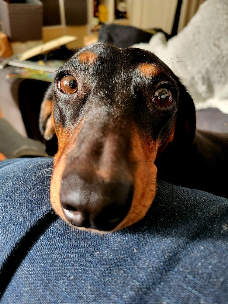 GIF hochgeladen von Hagalaz