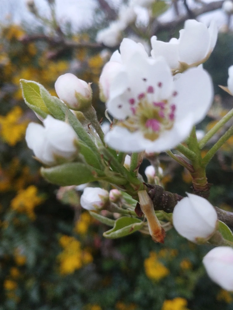 GIF ajouté par Dorian🐞