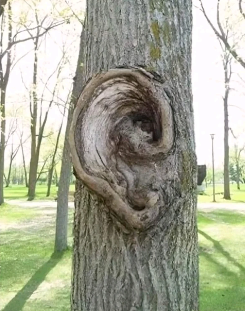 GIF hochgeladen von Svenja ☀️