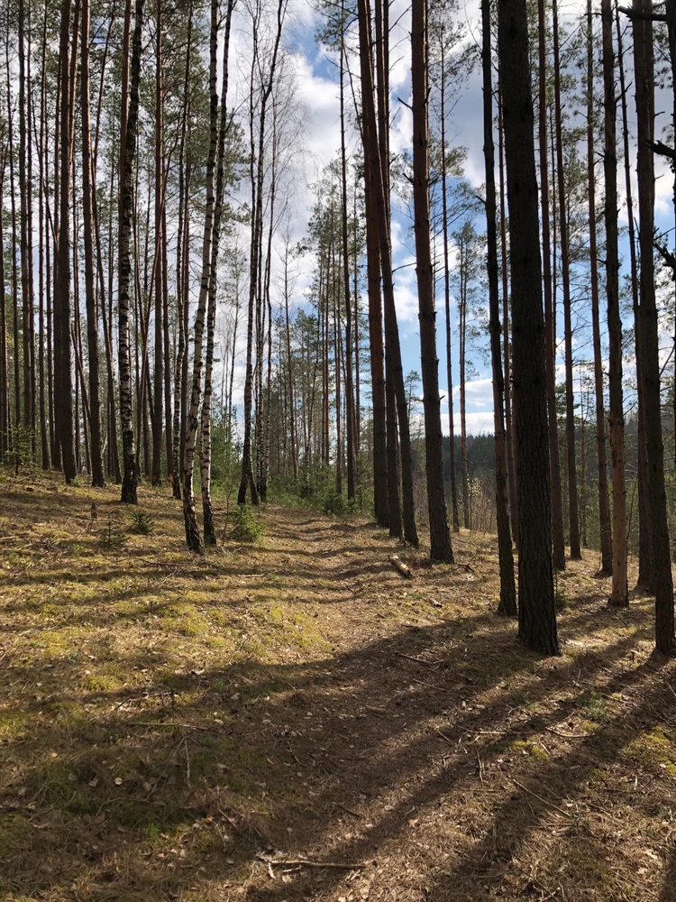 Фото загрузил Lia