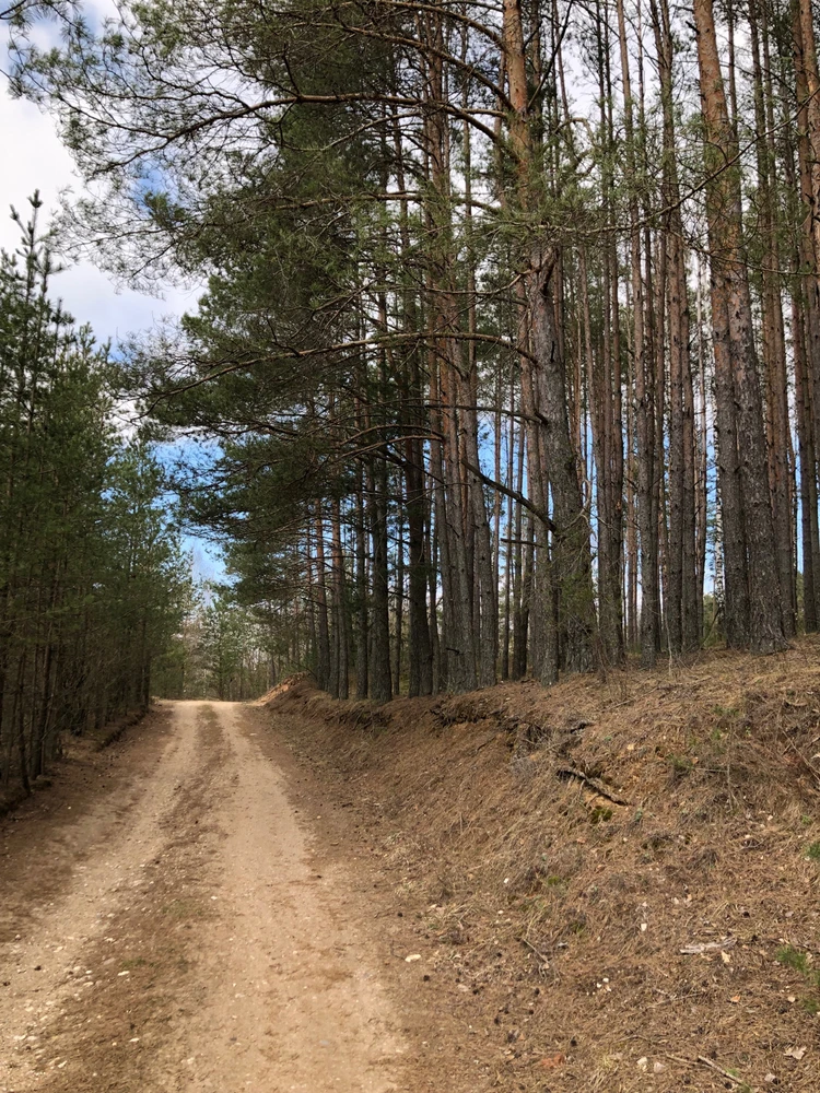 Фото загрузил Lia