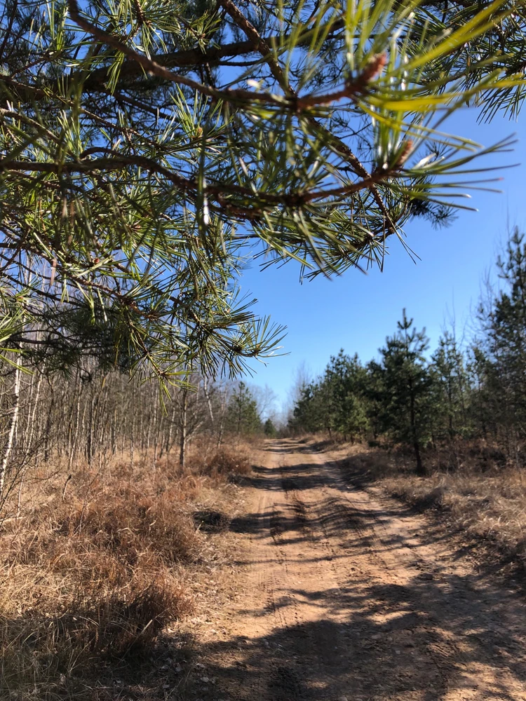 Фото загрузил Lia