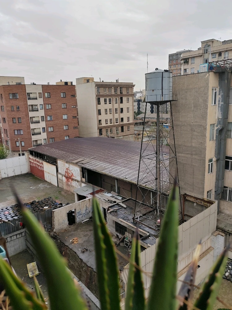 GIF hochgeladen von Ali💚💚💚