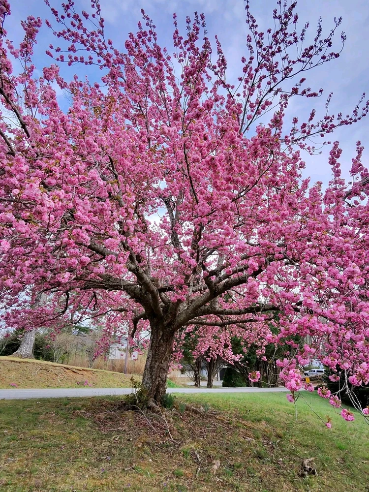 GIF uploaded by Chris