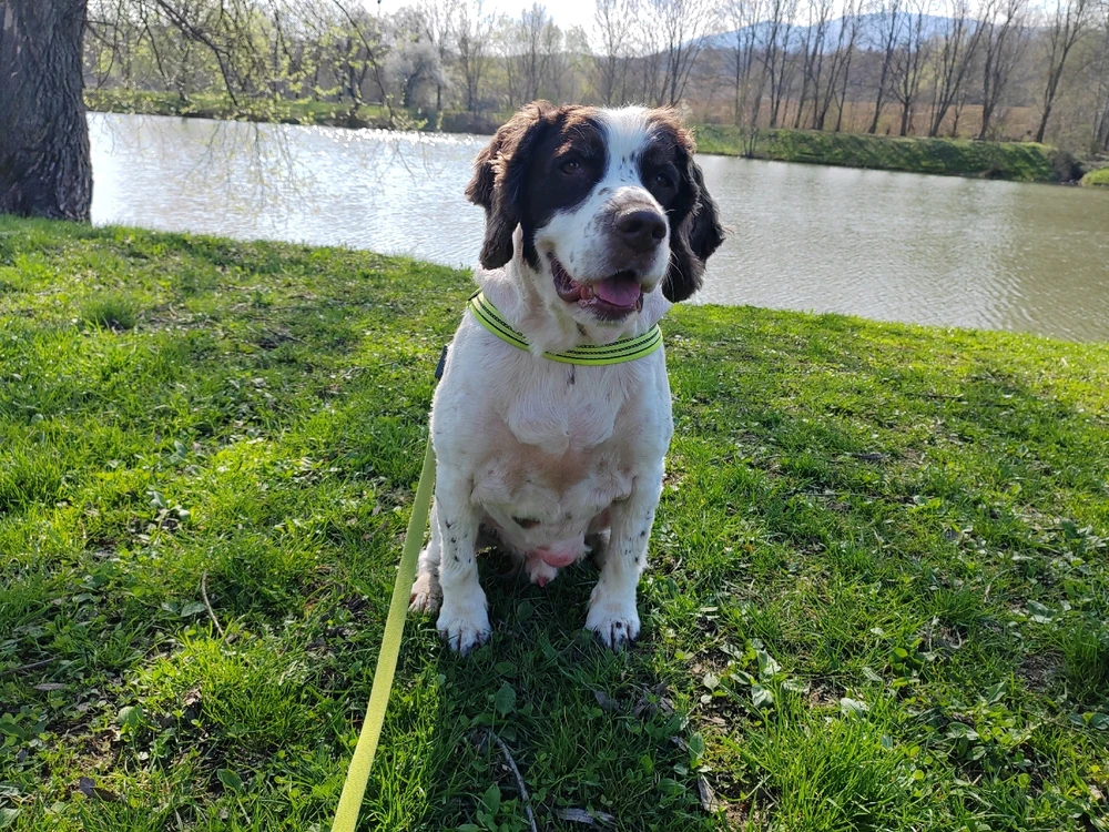 Fotku nahral/-a Michal