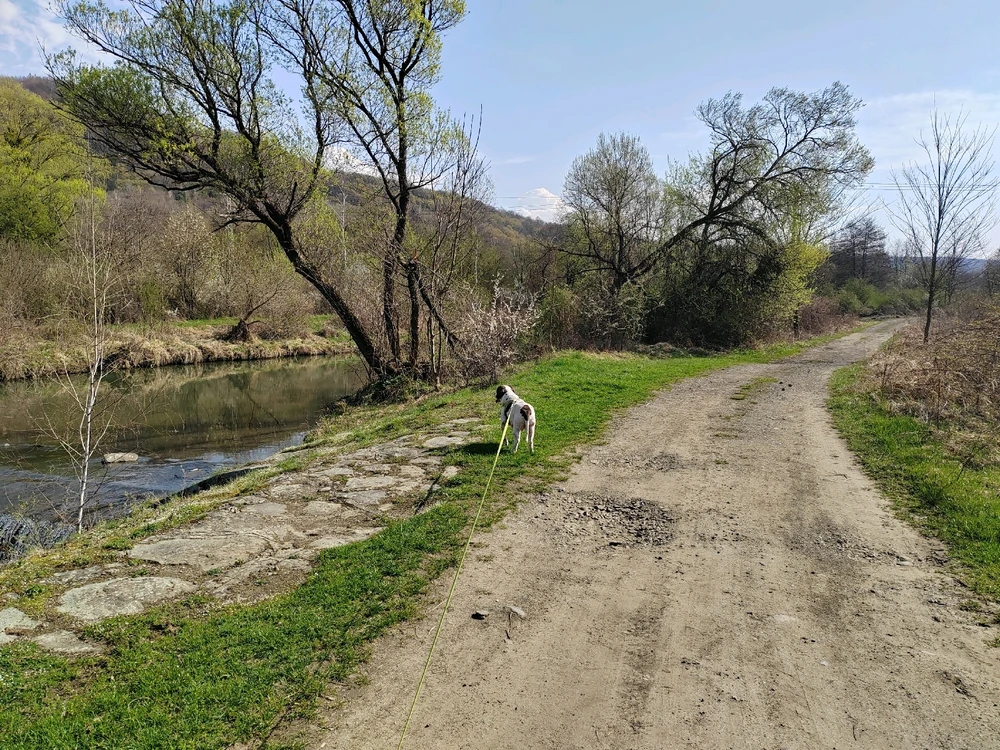 Fotku nahral/-a Michal