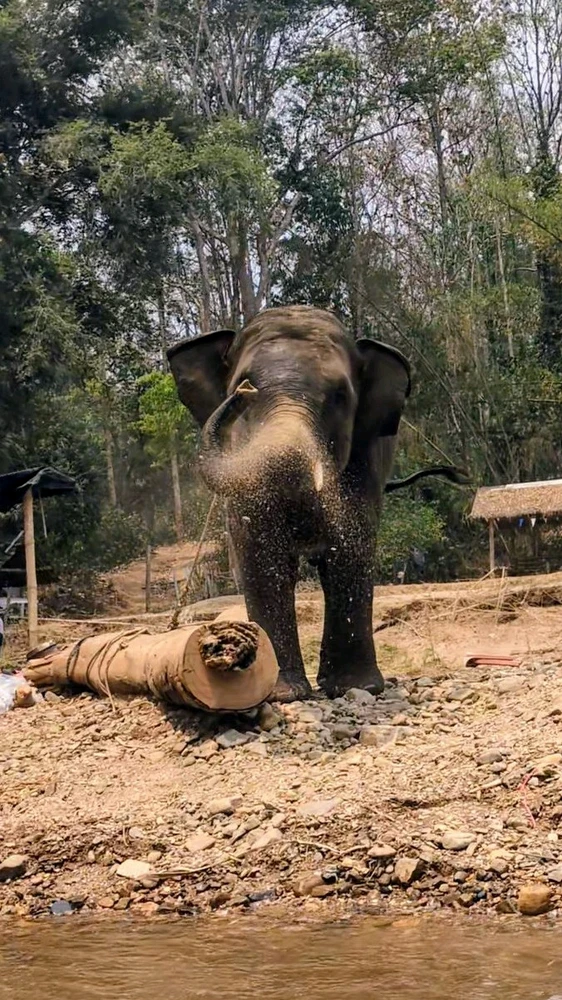 GIF uploaded by Chris