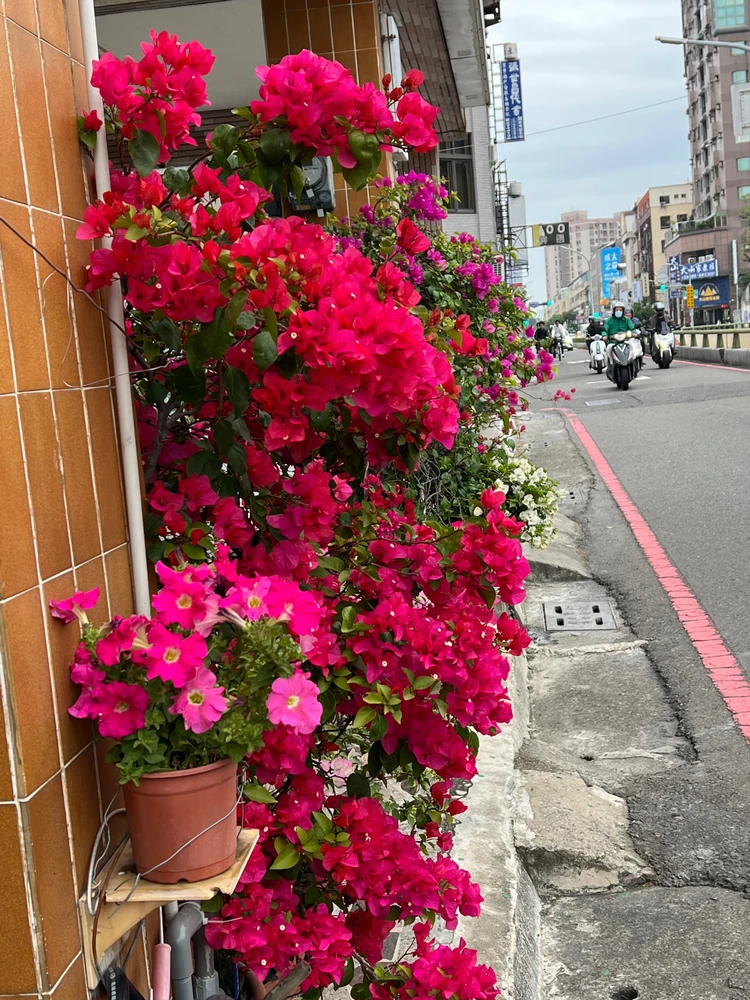 Image uploaded by Mehdi