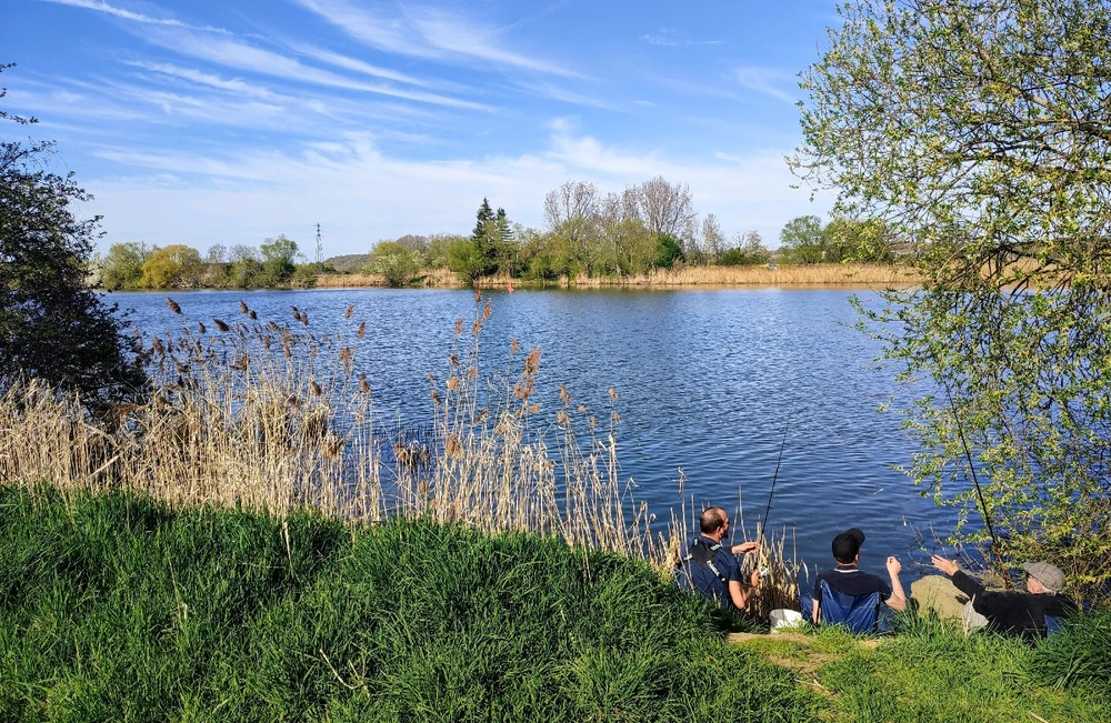 GIF uploaded by Karina