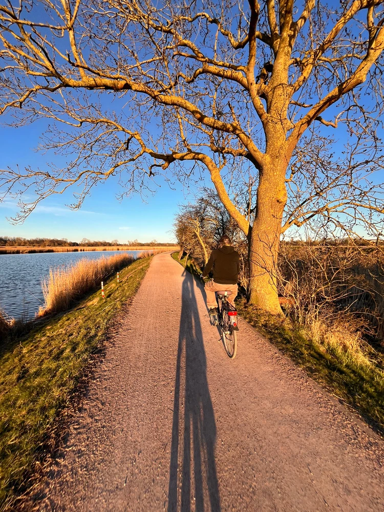 Zdjęcie dodane przez Radek