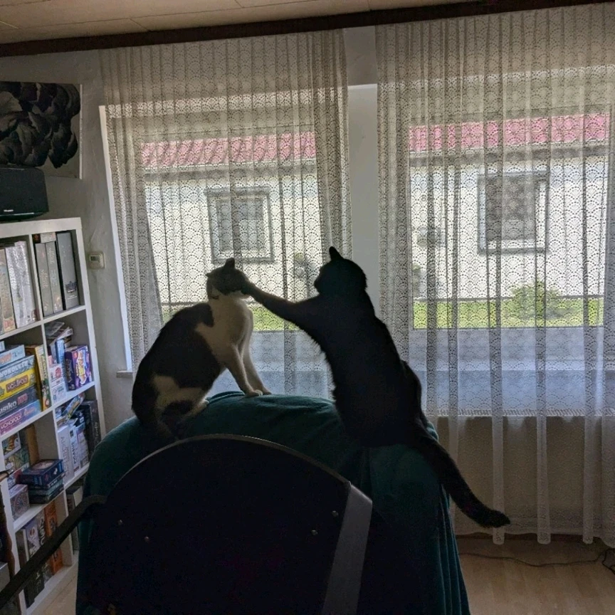 GIF hochgeladen von Ent