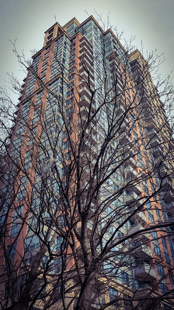 Image uploaded by Dana