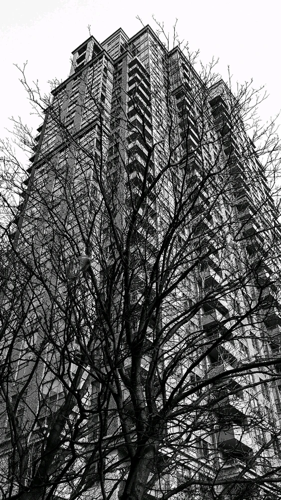 Image uploaded by Dana