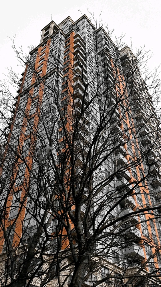 Image uploaded by Dana