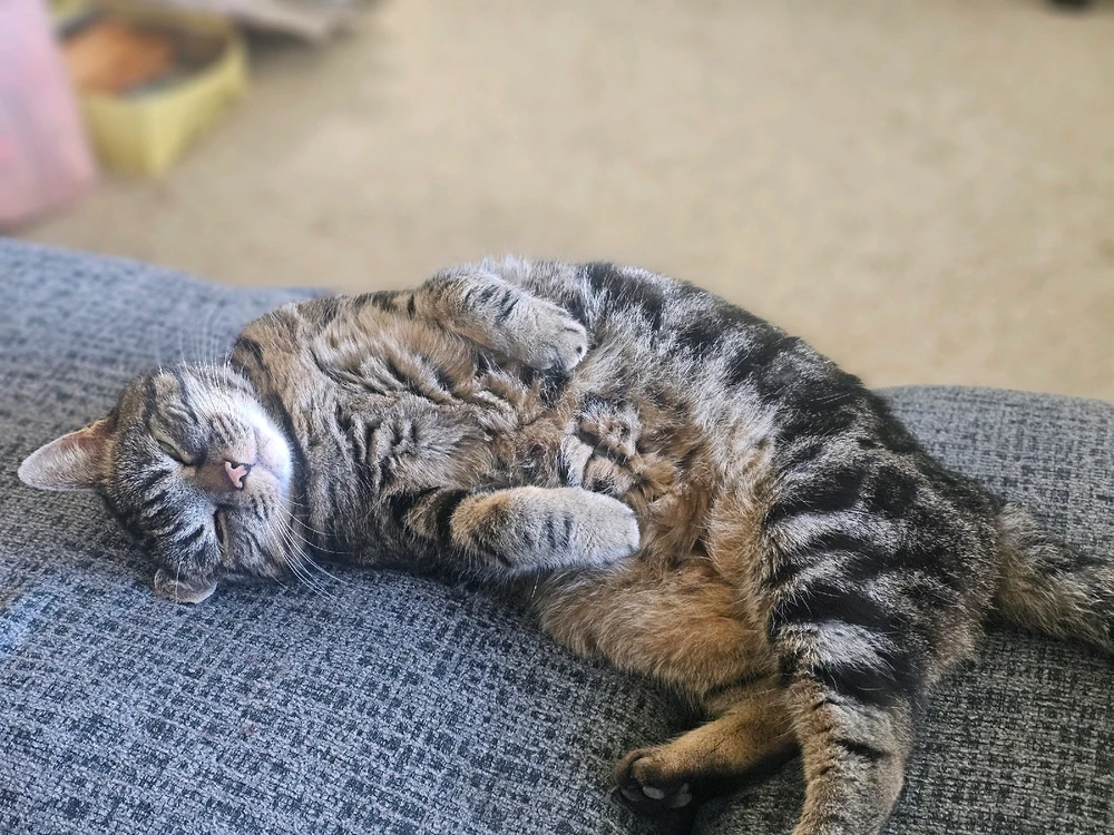 GIF uploaded by Steve