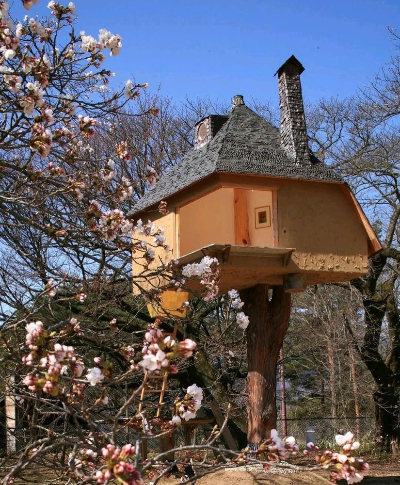 Image uploaded by Angelica