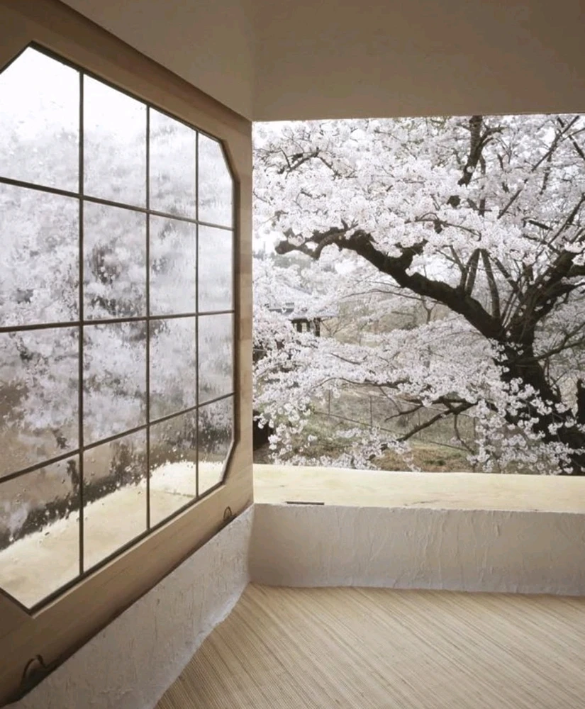 Image uploaded by Angelica