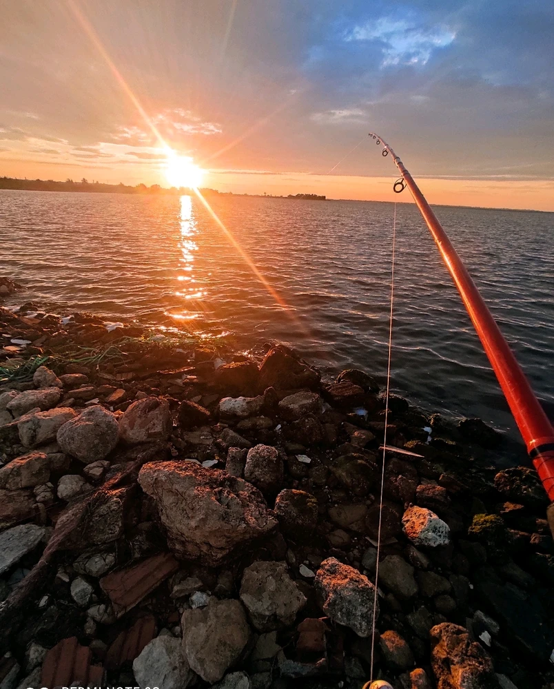 GIF ajouté par Slim