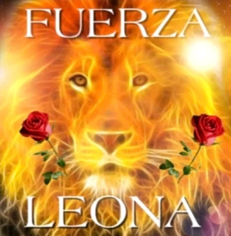 Imagem enviada por Lala