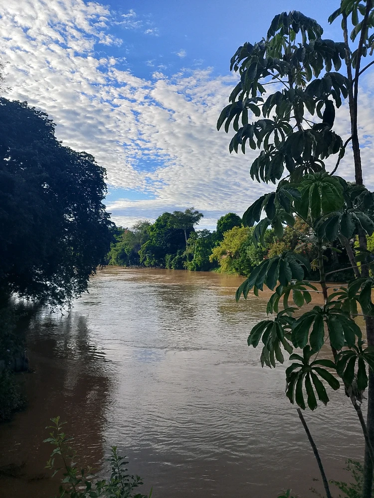 Imagem enviada por Renato Luis Santos