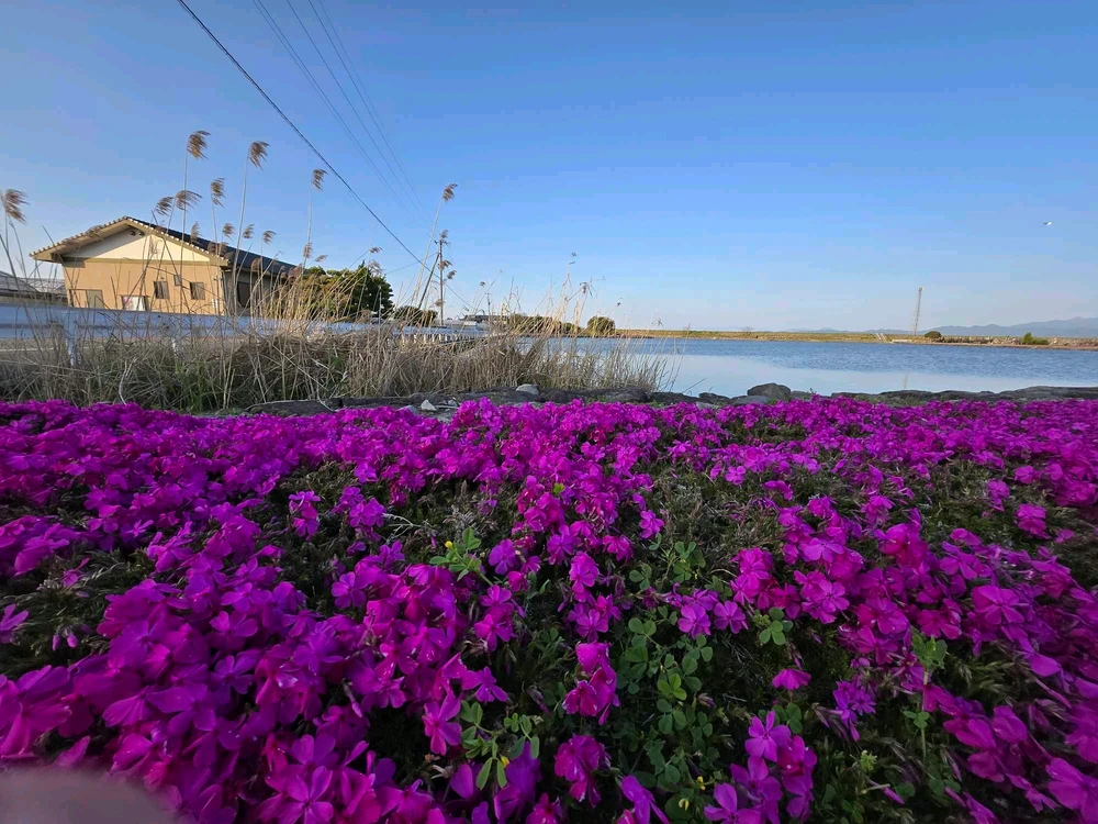 Image uploaded by Tin-tin dela cruz