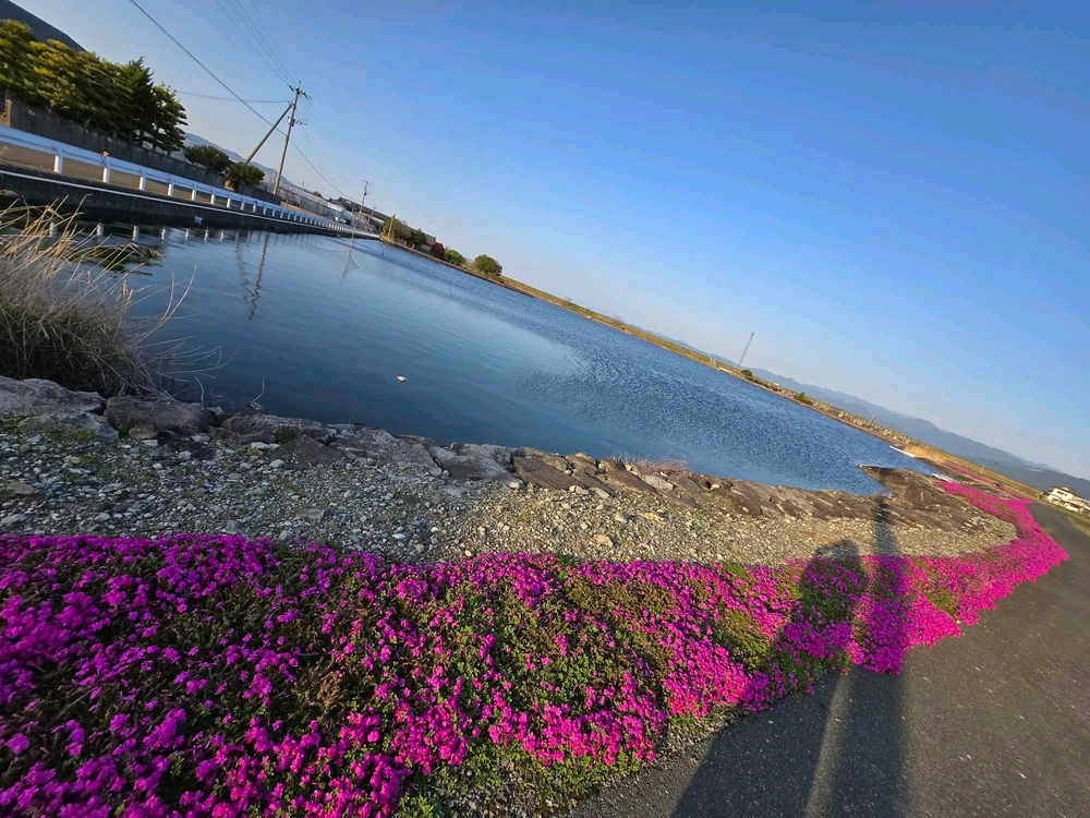 Image uploaded by Tin-tin dela cruz