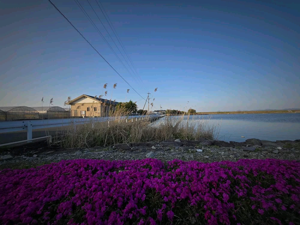 Image uploaded by Tin-tin dela cruz