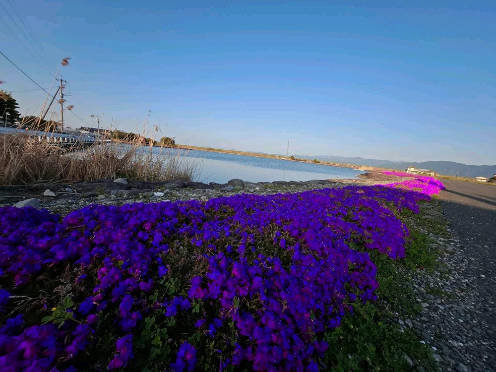 Image uploaded by Tin-tin dela cruz