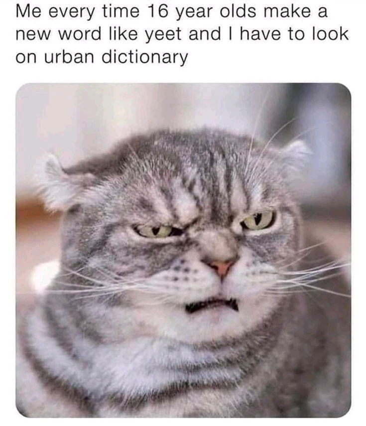 GIF uploaded by Ponyo