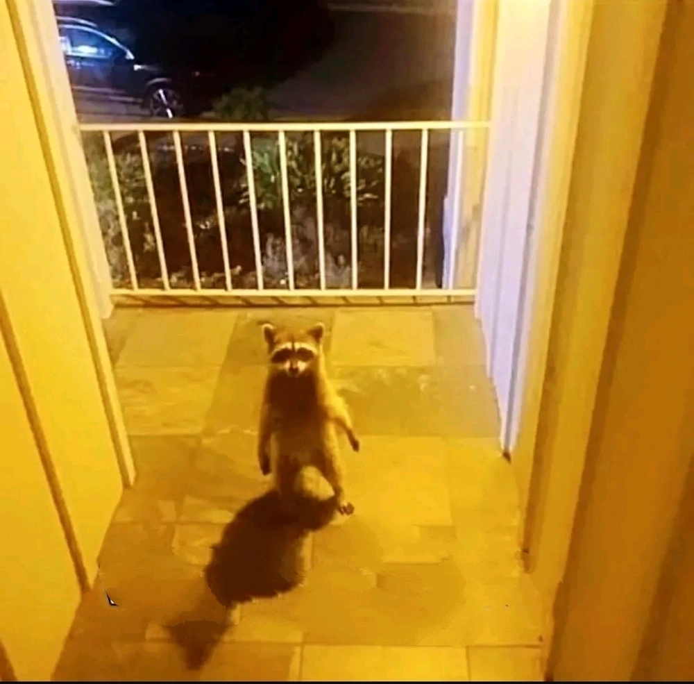 GIF uploaded by Aquarius®