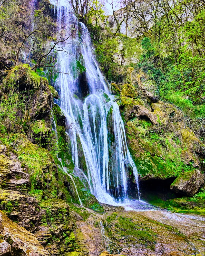 GIF ajouté par Jeremy