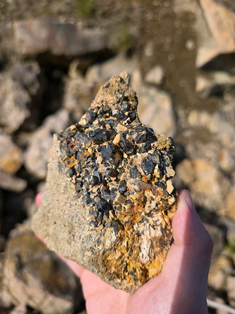 Image uploaded by Dan Michael