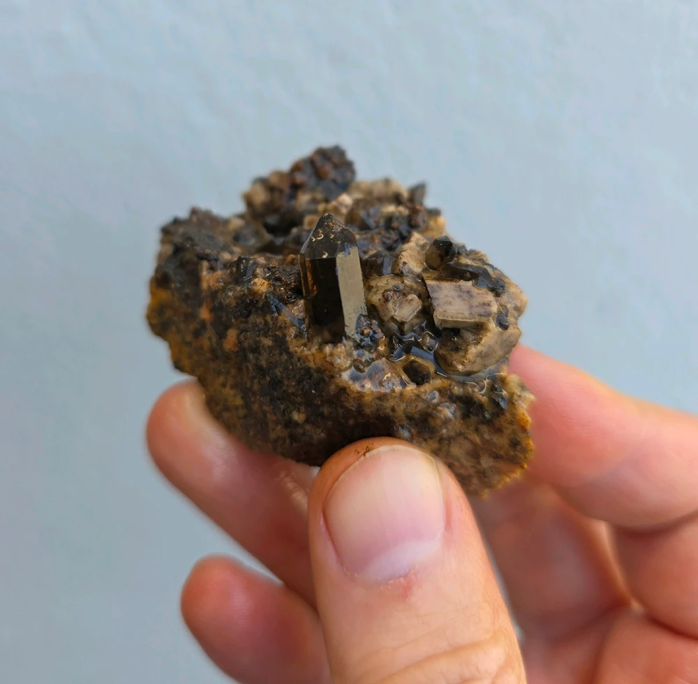 Image uploaded by Dan Michael