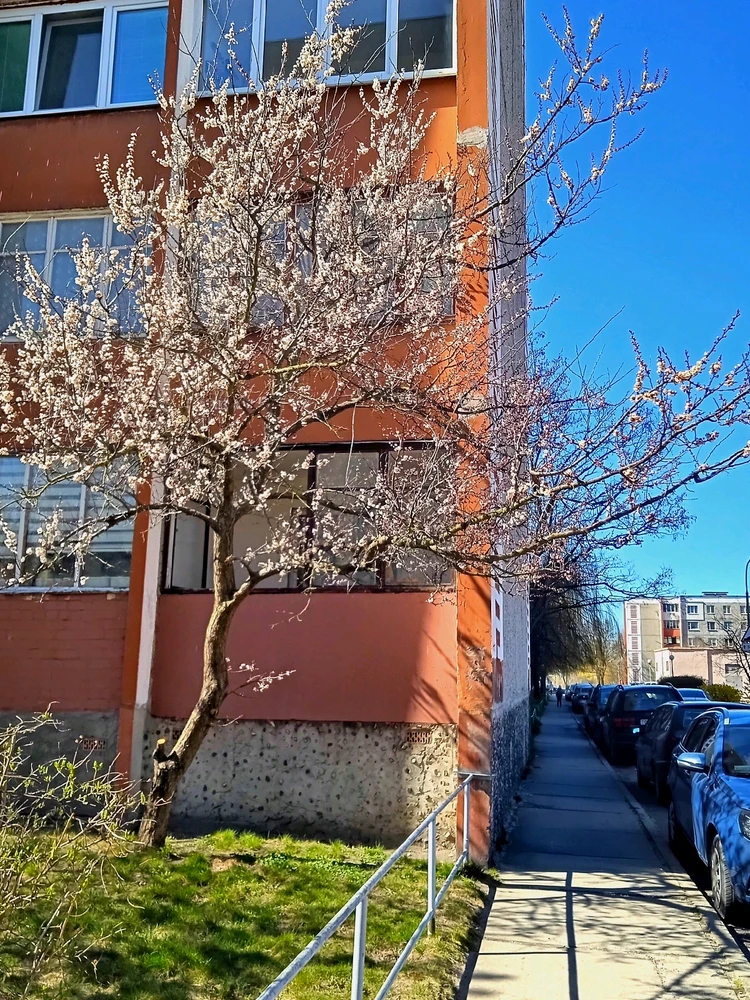 Image uploaded by sofi