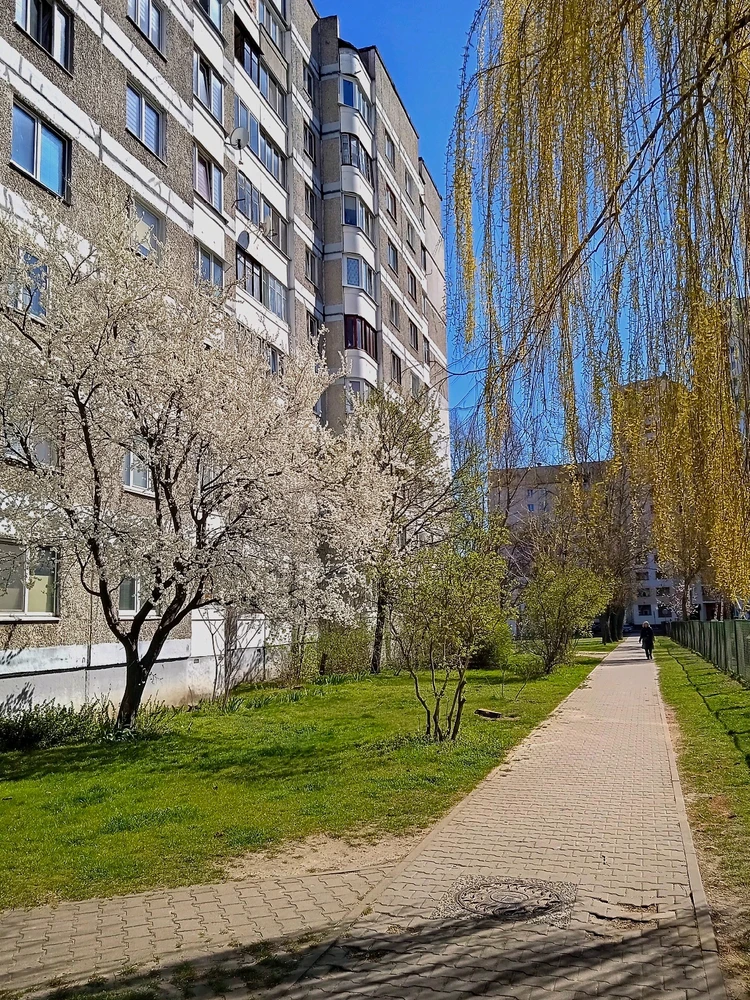 Image uploaded by sofi