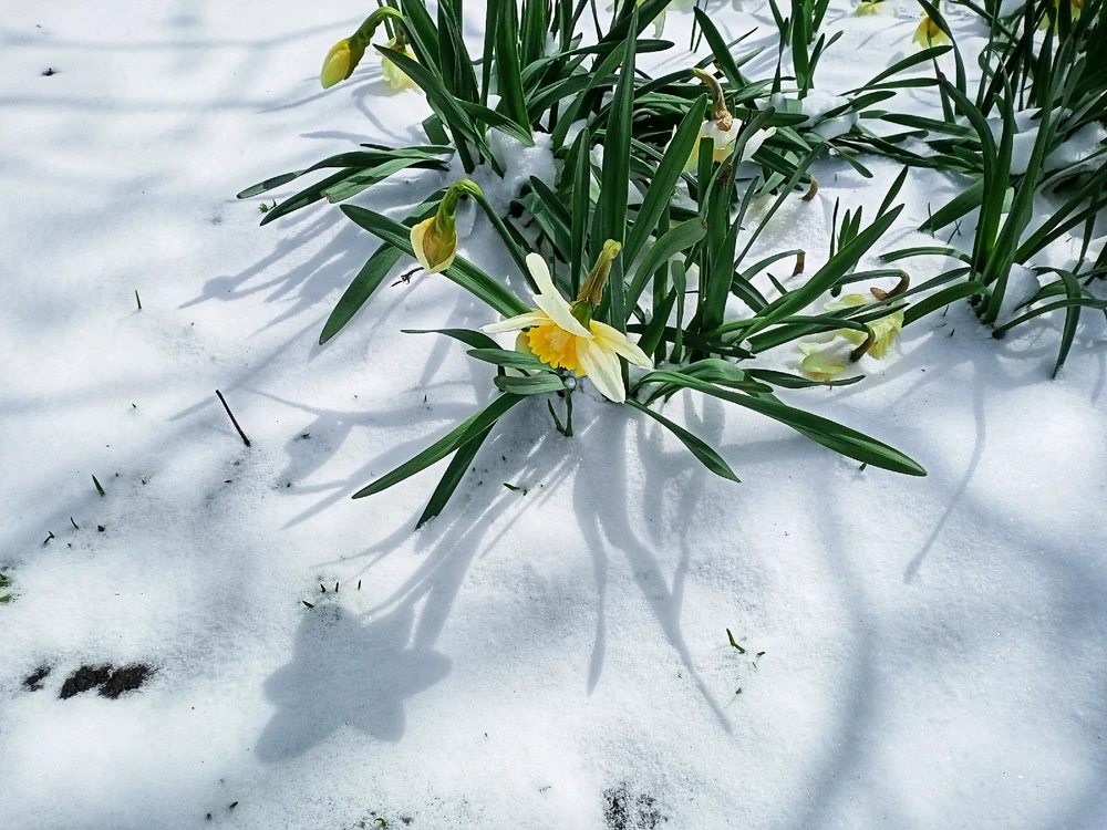 Image uploaded by Black Mirror (◔‿◔)