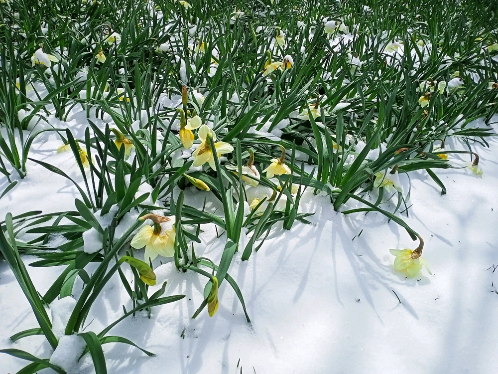 Image uploaded by Black Mirror (◔‿◔)