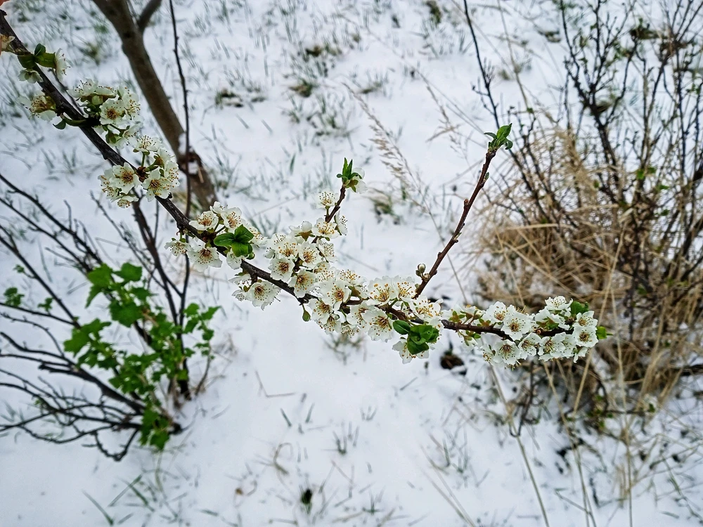 Image uploaded by Black Mirror (◔‿◔)