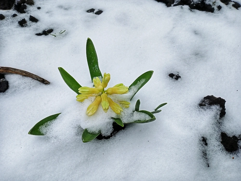 Image uploaded by Black Mirror (◔‿◔)