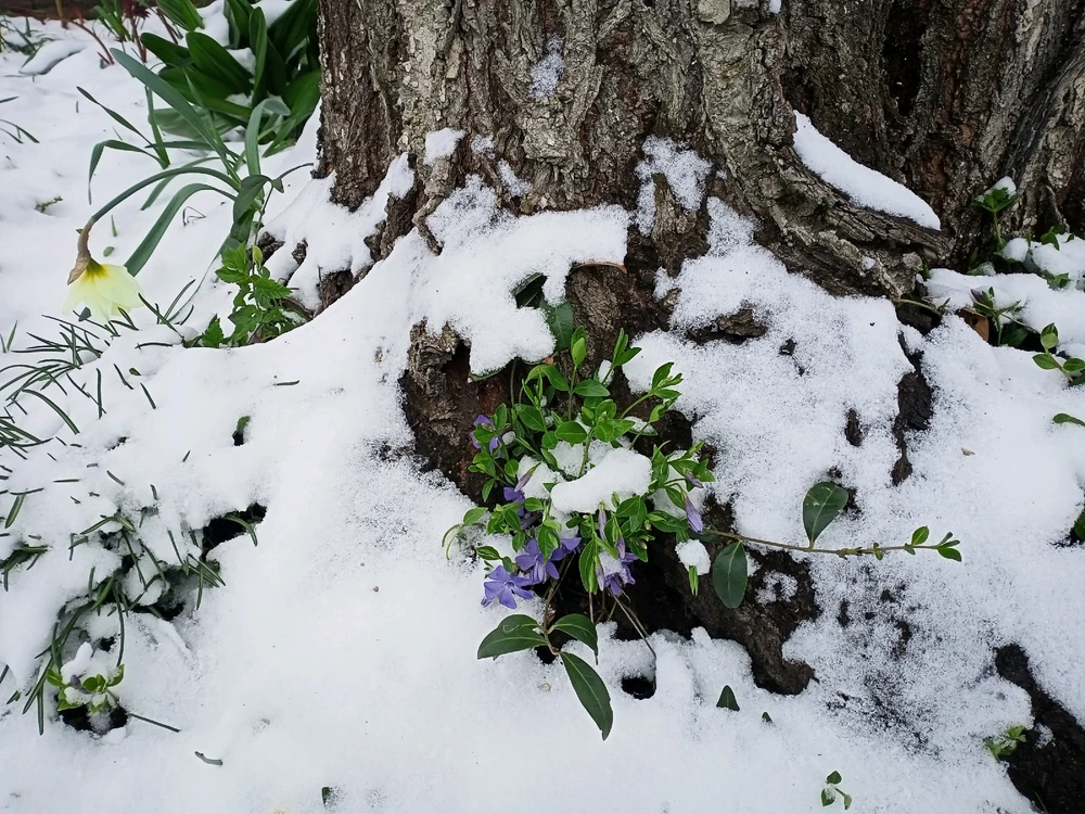 Image uploaded by Black Mirror (◔‿◔)