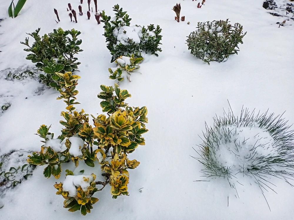 Image uploaded by Black Mirror (◔‿◔)